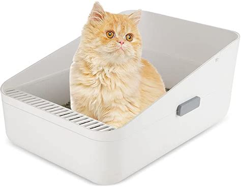 Sifting & Enclosed Litter Boxes for Easier Cleaning 